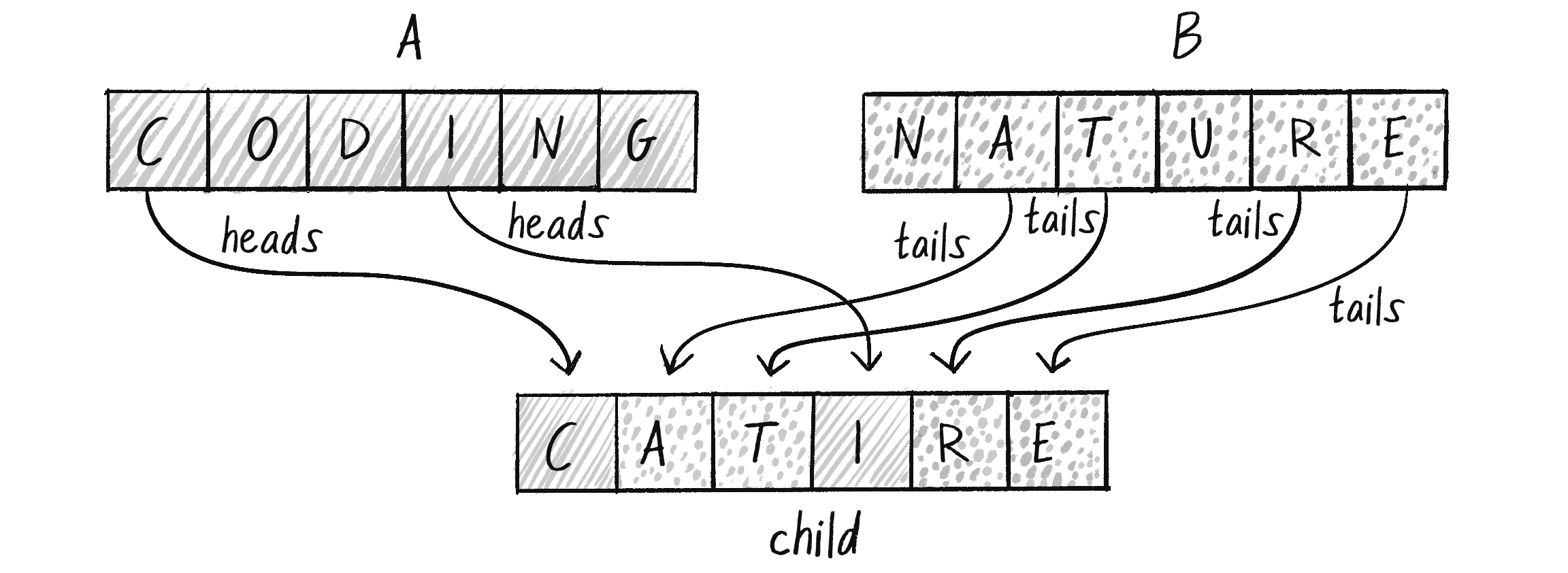 Figure 9.5: Crossover with a coin-flipping approach